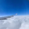 Avatar 1