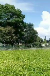 Weixuyan 神戶卡薩貝琳飯店優惠