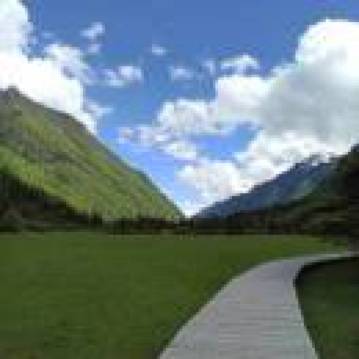 Buxiangshangbanzenmepo