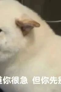 orangefry 四条河原町温泉 別邸鴨川 クーポン