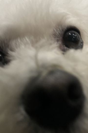 _enn LYURO 東京清澄 by THE SHARE HOTELS クーポン