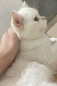 Baiyic 建國璞隱飯店（深圳寶安國際會展中心店）優惠