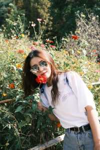 甄花花