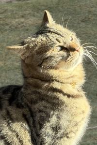 I see sierra 東京大手町四季酒店優惠