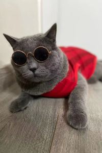 Painehsu 大阪心齋橋四橋大和ROYNET酒店優惠