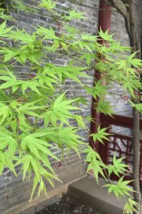 Ninizi 蘇州山塘書香府邸優惠