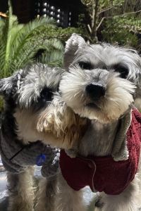 Chenshidian 北京乾元飯店優惠