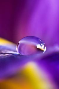 Fangfeiyu ホテル阪急インターナショナル クーポン