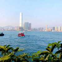 人在江湖626