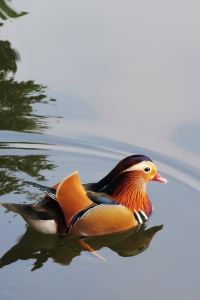 Fuerjiadunsikeyiya 明洞九樹2號精品酒店優惠