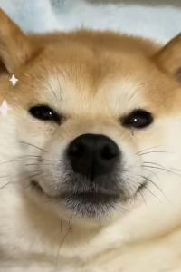 _WeChat492220**** ホテルユニゾ博多駅博多口 クーポン