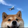 user-icon