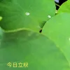 Avatar 2