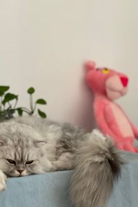 M19693**** 全季酒店（上海浦東機場城南路店）優惠