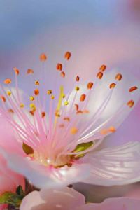 Meizhishengxue 如家商旅飯店（哈爾濱哈西萬達廣場高鐵站店）優惠