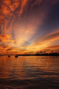 Fangfeidepangxie 上海玩具總動員飯店優惠