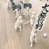 Avatar 2