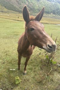JianghuaJh 那雲星空宿飯店（杭州錢江新城店）優惠