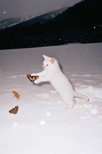 Zhangzimu スーパーホテル大津駅前 クーポン