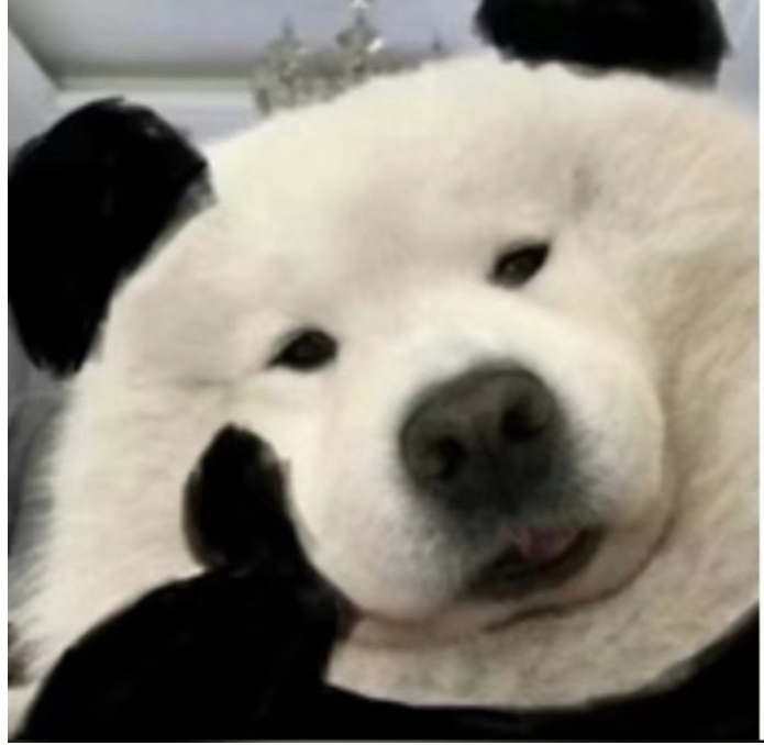 head-img