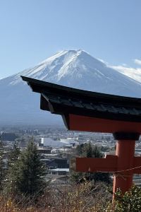 Fahaoyueyuan ウェスティンホテル東京 クーポン