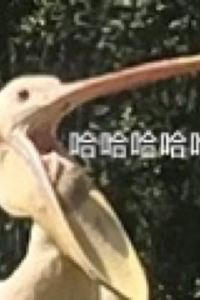 M226241**** ホテル 雲丹御殿 クーポン