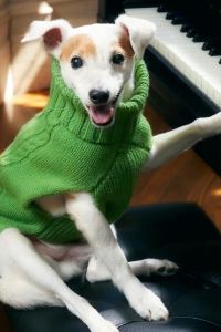 Vivienchic 瑪德蓮皇家 Spa 酒店優惠