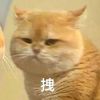 user-icon
