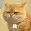 Avatar 1