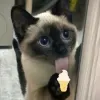 Avatar 1