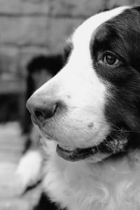 kirinzr 阿姆斯特丹斯勞特戴克站美居酒店優惠