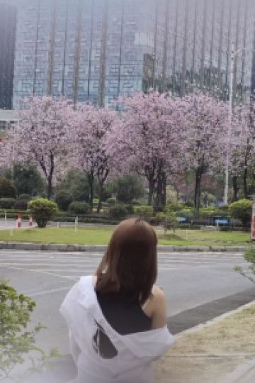 Guangdongfeixin 澳門君悦酒店優惠