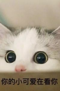 Shiershigexiaoguniang 廈門靈玲大飯店優惠