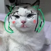 Avatar 1