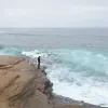 Avatar 3