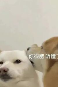 訪客用戶 麗楓飯店（廣州珠江新城地鐵站店）優惠