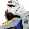 user-icon