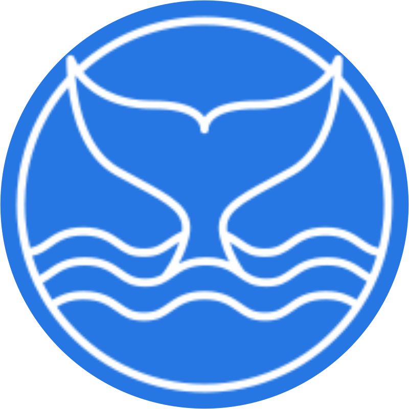 head-img