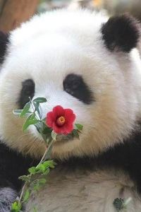 Kenijuan 青島海天大酒店優惠