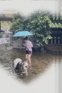 Juliashiziyu
