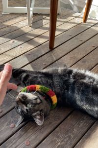 rayes 品冠藝術飯店（龍崗華南城店）優惠