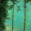 Avatar 2