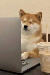 Sanmingzhiji 小樽宿優惠