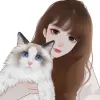 Avatar 2