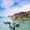 高朋四海