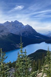 Bgvw 新加坡港灣彩鴻酒店 （Staycation Approved）優惠