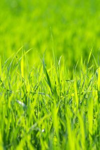 M271770**** 香港旺角智選假日酒店優惠