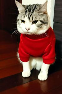 chunjiu 橫濱櫻木町雷索爾飯店優惠