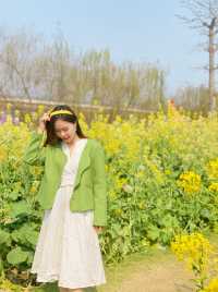 杨木木哟