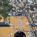 Nanjingge